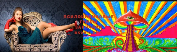 стаф Алексин