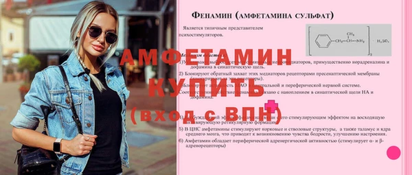 стаф Алексин