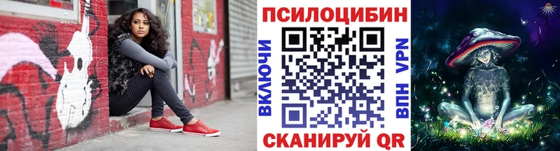 где купить наркоту  Дно  OMG рабочий сайт  Псилоцибиновые грибы Cubensis 