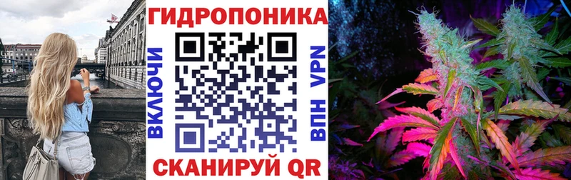 где продают наркотики  Дно  Марихуана ГИДРОПОН 